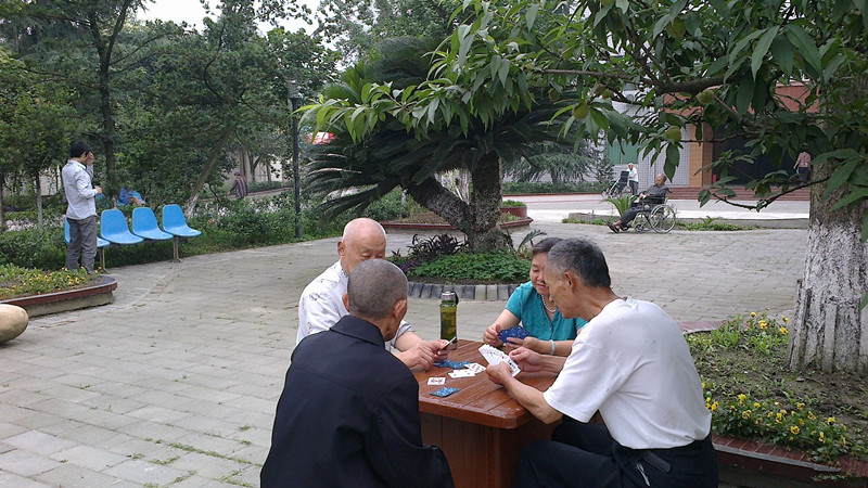 郫縣平樂老年康樂苑 郫縣平樂老年康樂苑