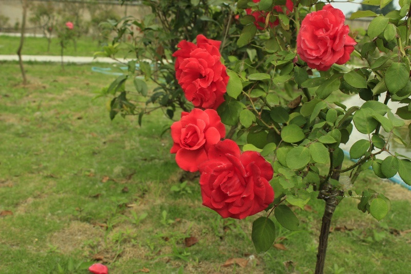 江蘇省連云港市日月心養老院