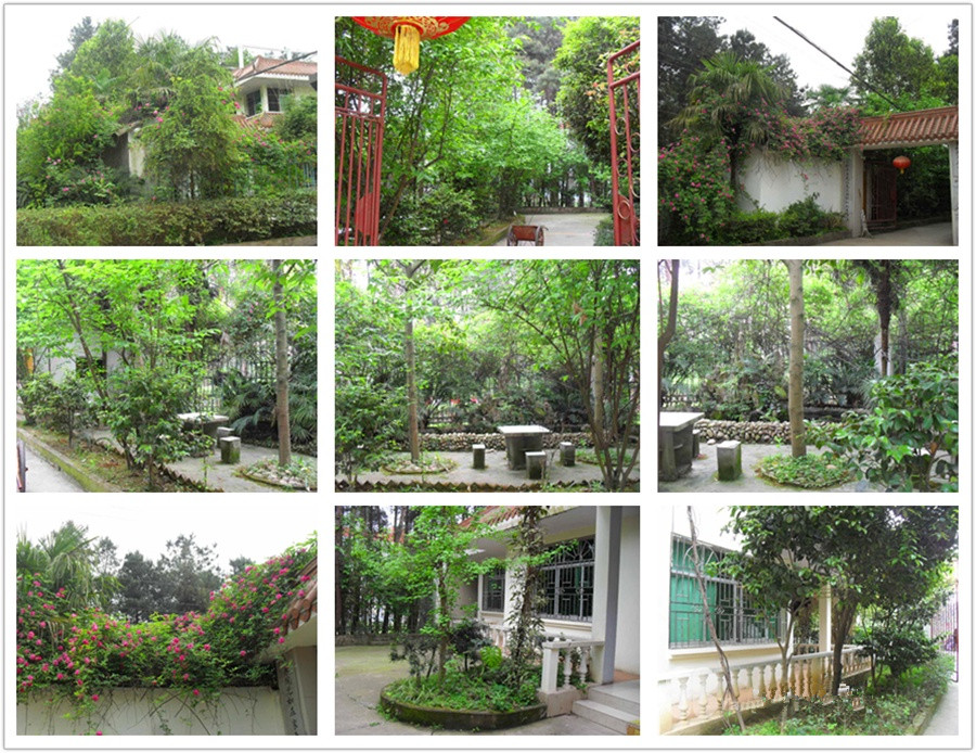 南充市高坪區青松園療養院 南充市高坪區青松園療養院