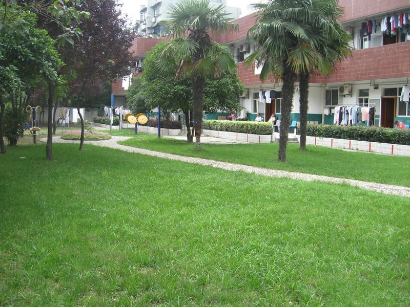 上海市寶山區泗塘承苗養老院 上海市寶山區泗塘承苗養老院