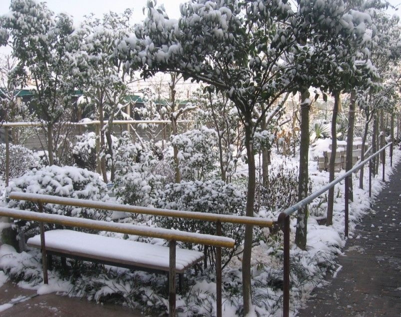 江蘇省宿遷市泗洪縣福星園老年公寓 江蘇省宿遷市泗洪縣福星園老年公寓