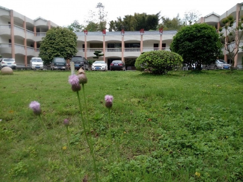 竹園頤老養生村 竹園頤老養生村