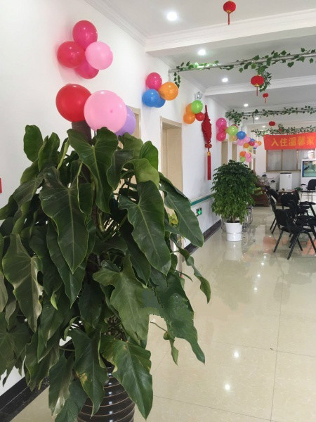 溫馨家園老年公寓 溫馨家園老年公寓