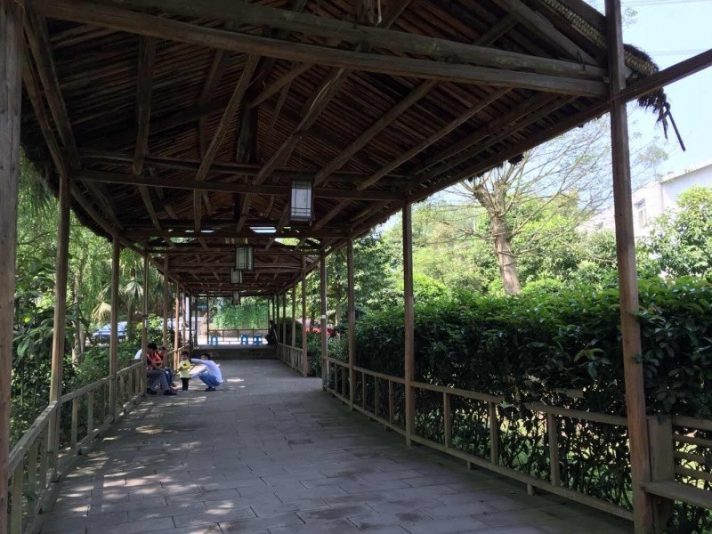 竹園頤老養生村 竹園頤老養生村