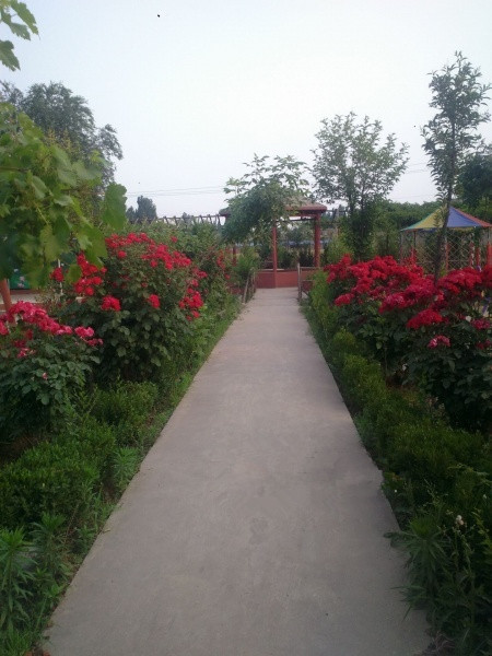 福壽居老年公寓 福壽居老年公寓