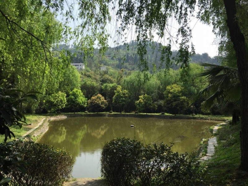 竹園頤老養生村 竹園頤老養生村