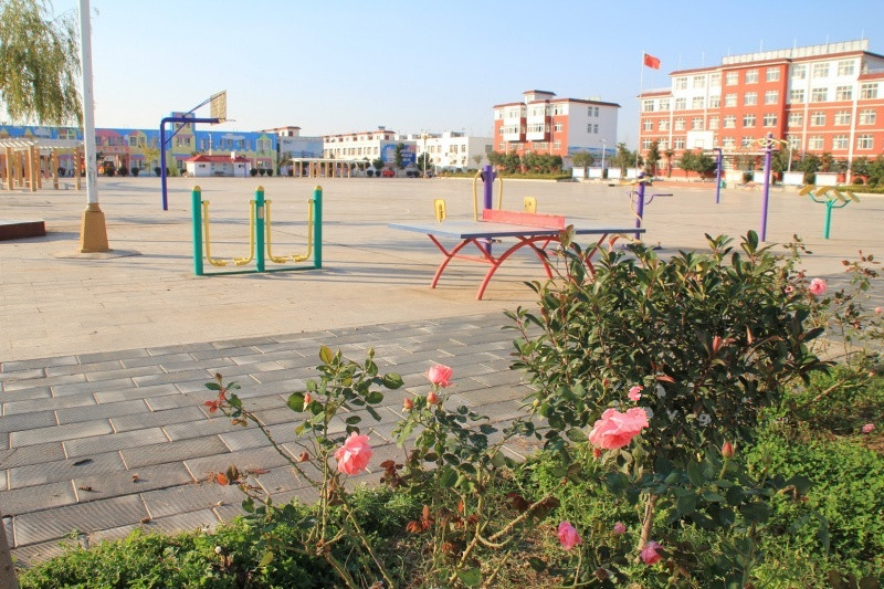 內鄉縣東關夕陽紅老年公寓 內鄉縣東關夕陽紅老年公寓