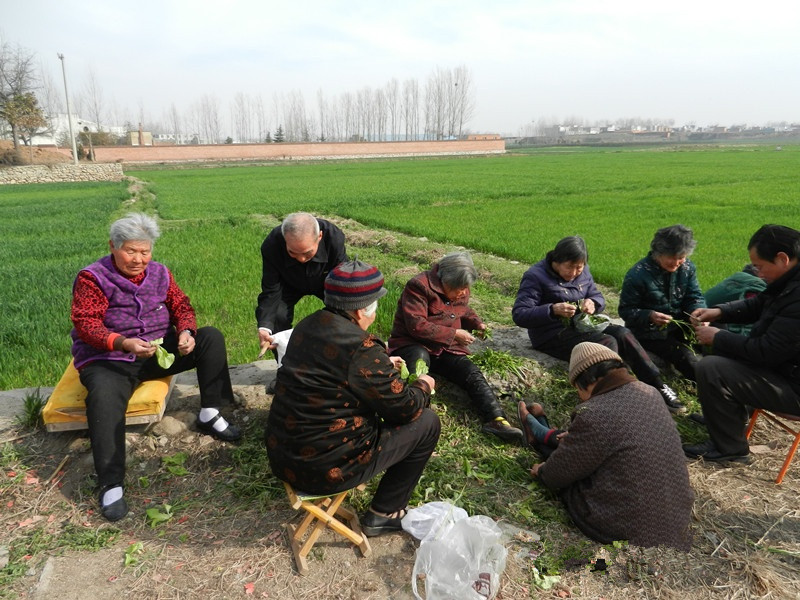 內鄉縣馬山口福星老年康樂院 內鄉縣馬山口福星老年康樂院