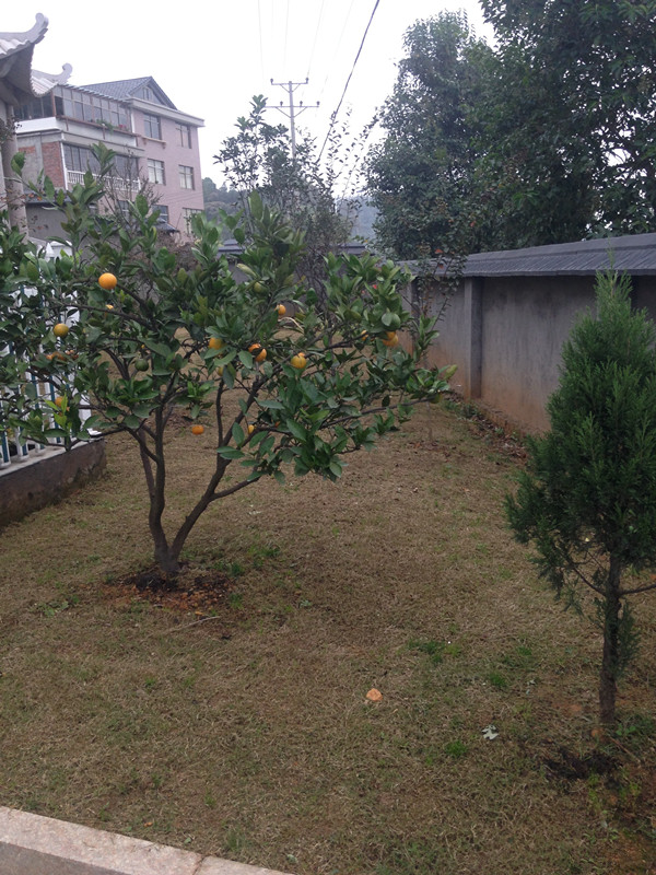 杭州臨安青山湖康壽養老院 杭州臨安青山湖康壽養老院