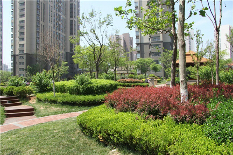 青島鶴鴻春康健管理中心 青島鶴鴻春康健管理中心