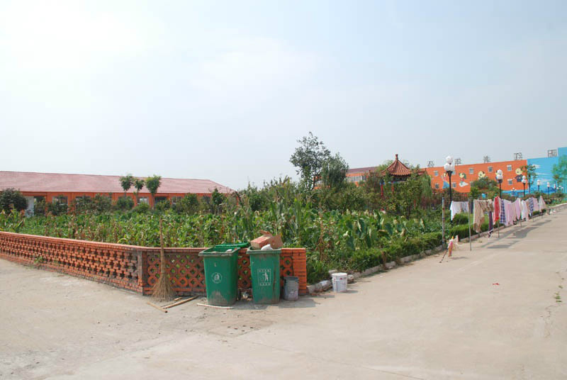 青島市夕陽(yáng)紅老年公寓