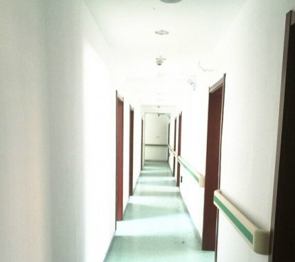 武漢市漢陽區陶家嶺社區怡安養老院 武漢市漢陽區陶家嶺社區怡安養老院