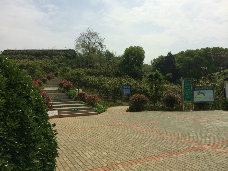 黃石市淑鵬敬老院 黃石市淑鵬敬老院