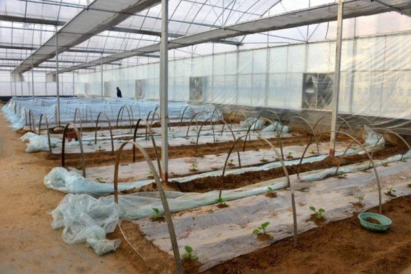 山東民康養護院養老院有限公司