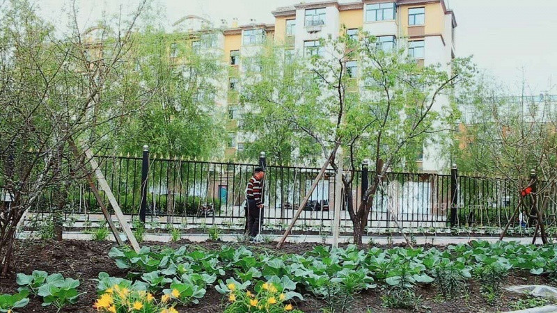 佰壽之星老年公寓 佰壽之星老年公寓