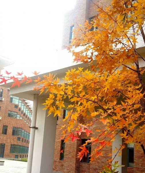 吉林省頤樂康復中心 吉林省頤樂康復中心