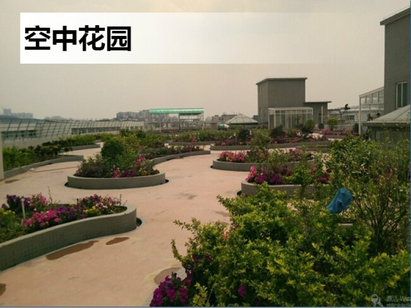 順德樂善居頤養院