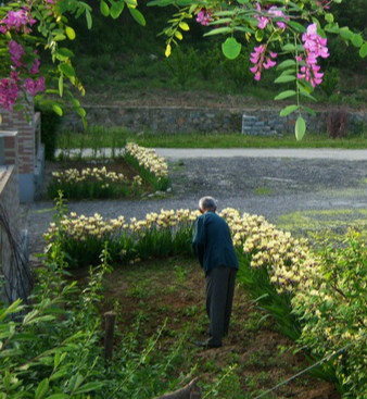 丹東市泰和養(yǎng)老院 丹東市泰和養(yǎng)老院