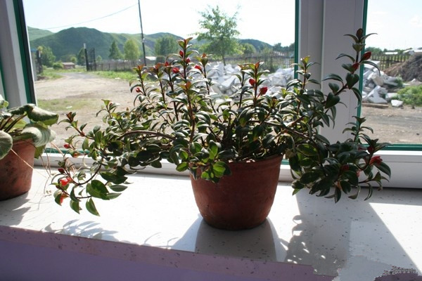 琿春市福樂老年公寓 琿春市福樂老年公寓