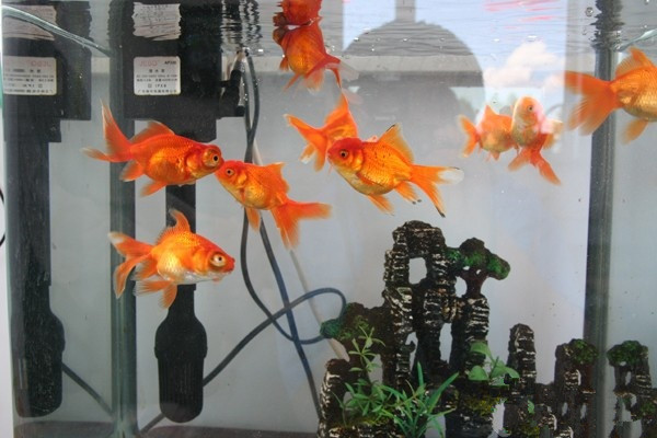 琿春市福樂老年公寓 琿春市福樂老年公寓