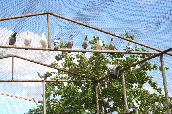 琿春市福樂老年公寓 琿春市福樂老年公寓