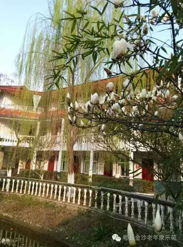 郫縣平樂老年康樂苑 郫縣平樂老年康樂苑