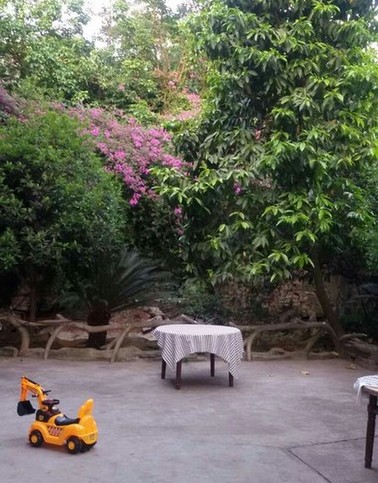 沙坪壩區東福老年院 沙坪壩區東福老年院