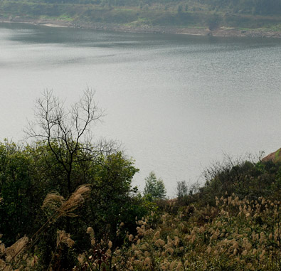 重慶愛林居托老中心 重慶愛林居托老中心