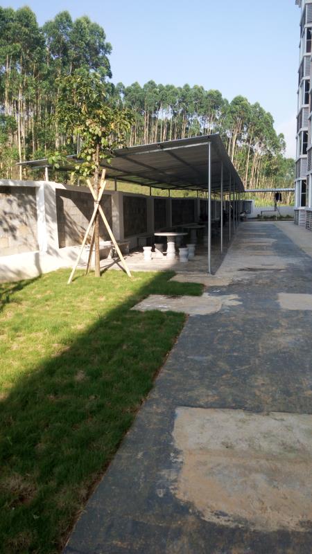 大化民生幸福家園 大化民生幸福家園