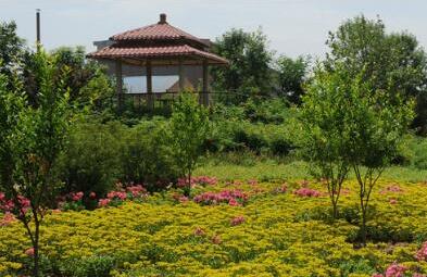 北京市大興區頤樂養老院 北京市大興區頤樂養老院
