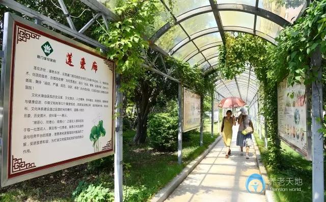 廈門市蓮花長壽村老人公寓 廈門市蓮花長壽村老人公寓