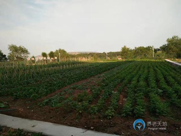 撫順市晨光養老院 撫順市晨光養老院