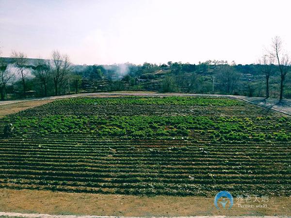 撫順市晨光養老院 撫順市晨光養老院