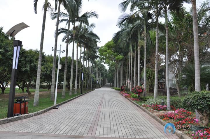 深圳市麒麟養生苑