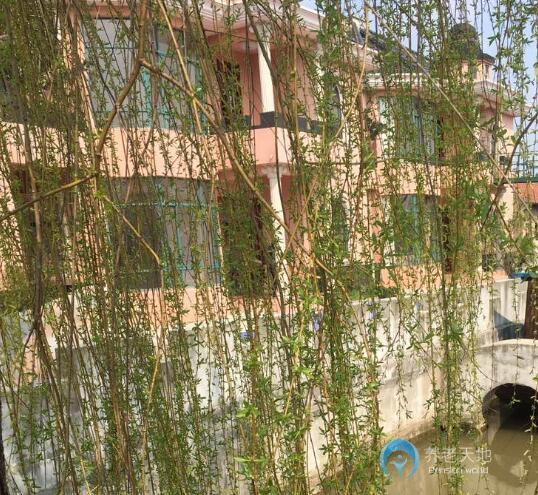 上海孝莊養老院