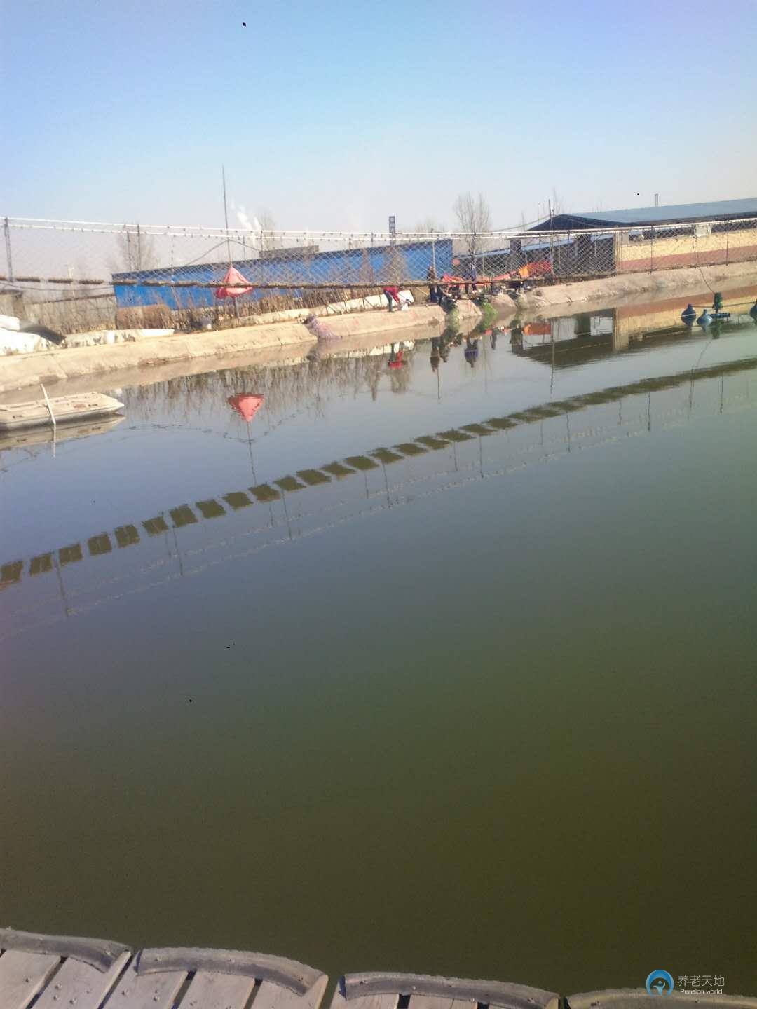 安陽(yáng)夕陽(yáng)無(wú)限老年公寓 安陽(yáng)夕陽(yáng)無(wú)限老年公寓