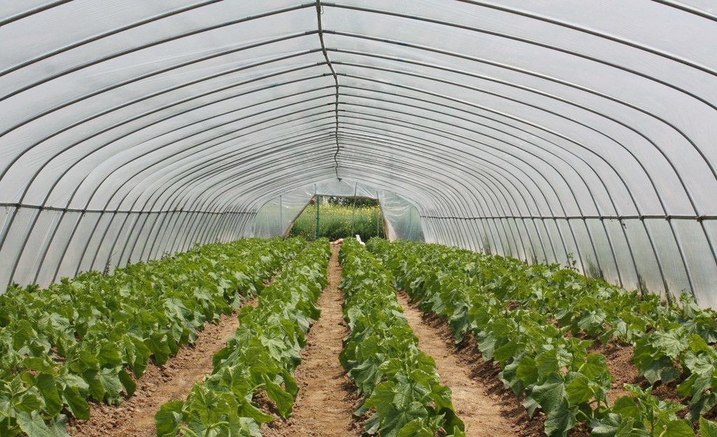 哈爾濱市百姓康年養老公寓 哈爾濱市百姓康年養老公寓