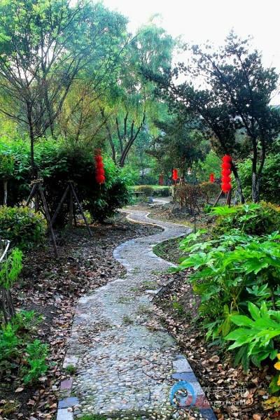 湖州市南潯區善璉含山老年公寓 湖州市南潯區善璉含山老年公寓