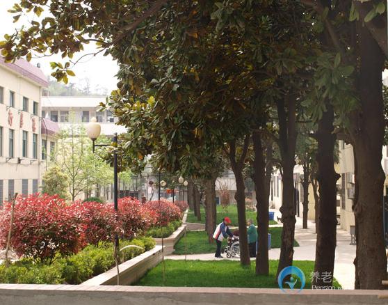 南京向陽養(yǎng)老院 南京向陽養(yǎng)老院