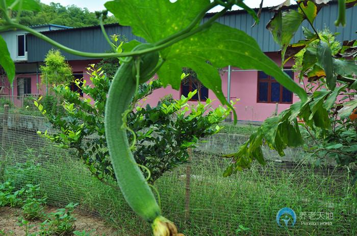 璧山區丁家養老院
