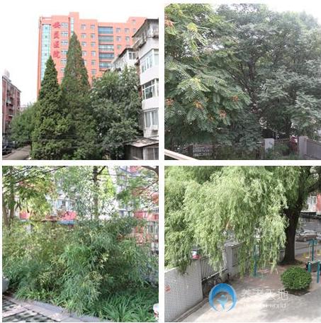 北京市朝陽區安貞街道養老照料中心