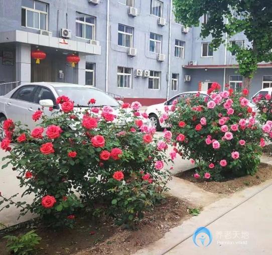 北京市順義區六福全營養老服務中心 北京市順義區六福全營養老服務中心