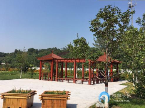 石家莊市老年養護院 石家莊市老年養護院