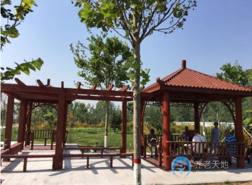 石家莊市老年養護院 石家莊市老年養護院