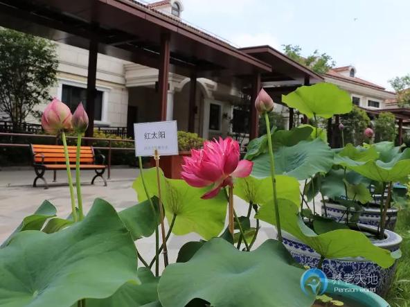 上海市嘉定區遠洋·椿萱茂虹灣長者社區 上海市嘉定區遠洋·椿萱茂虹灣長者社區