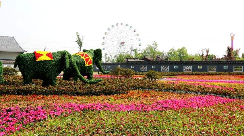蜀國鵑都養老服務中心 蜀國鵑都養老服務中心