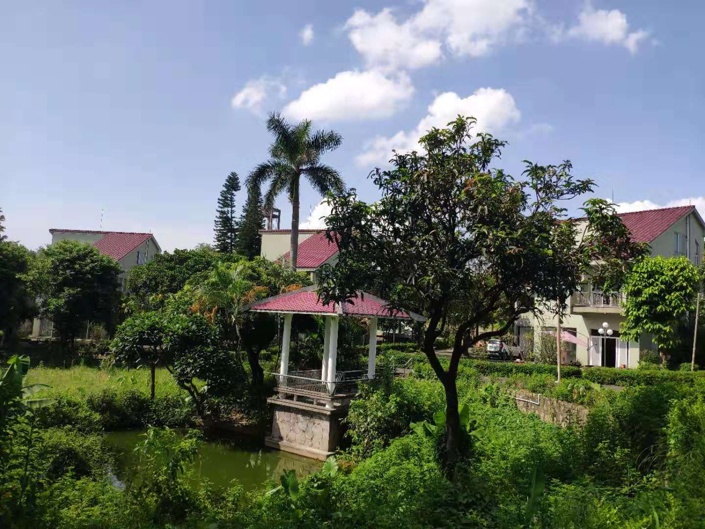 江門銀湖養(yǎng)老院 江門銀湖養(yǎng)老院