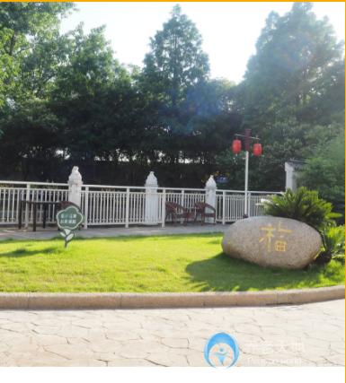 上海市長寧區(qū)金福第三養(yǎng)老院 上海市長寧區(qū)金福第三養(yǎng)老院