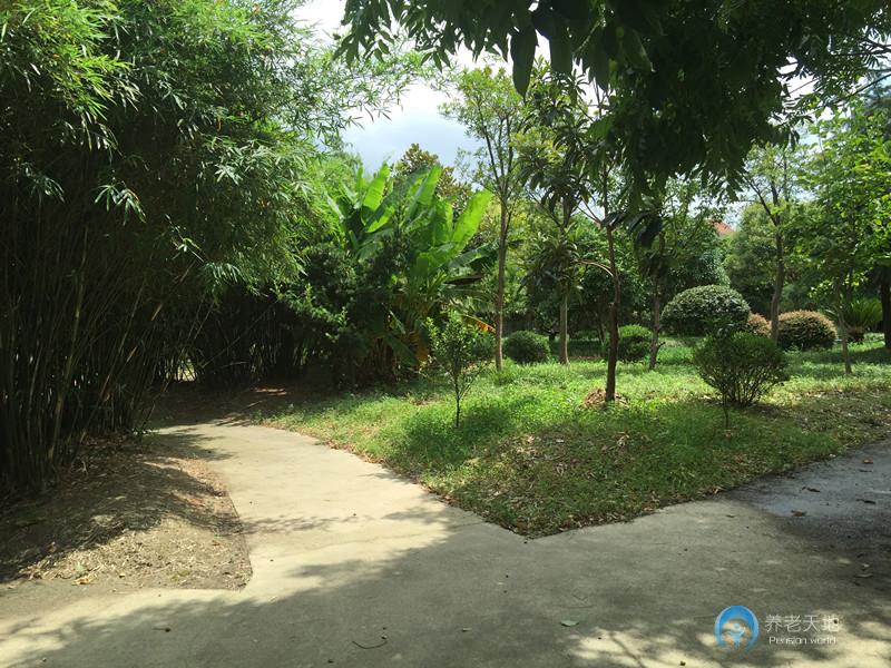 上海大眾養老院