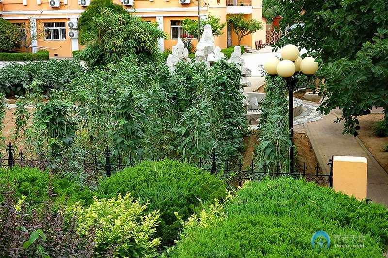 山東省青島市李滄區社會福利院 山東省青島市李滄區社會福利院